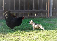 processed/ed3f2498-683d-4b59-aeab-882db07af504/facility/459e8ee9-0125-408f-aa38-ce622f0c716c