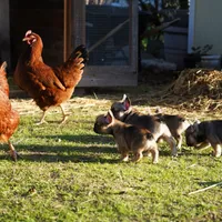 processed/ed3f2498-683d-4b59-aeab-882db07af504/facility/8994bc6e-2f94-4e9a-bfd8-10510d1c5156