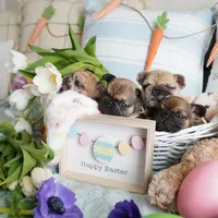 processed/ed3f2498-683d-4b59-aeab-882db07af504/facility/a59a09f2-543d-4f03-bef5-e26ae632b537