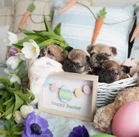 processed/ed3f2498-683d-4b59-aeab-882db07af504/facility/a59a09f2-543d-4f03-bef5-e26ae632b537