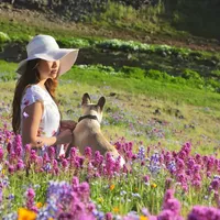 processed/ed3f2498-683d-4b59-aeab-882db07af504/facility/b1543ab0-7eb2-4a67-bf3e-7441aee586bc