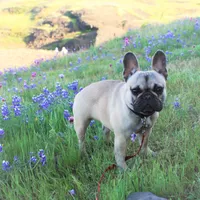 processed/ed3f2498-683d-4b59-aeab-882db07af504/facility/cb06755e-f57d-4fc9-863b-b31d19f0a5c9