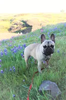 processed/ed3f2498-683d-4b59-aeab-882db07af504/facility/cb06755e-f57d-4fc9-863b-b31d19f0a5c9