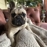 processed/ed3f2498-683d-4b59-aeab-882db07af504/facility/ea9b3bbc-f0c2-480e-bafe-47e9bc5a6212