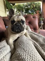 processed/ed3f2498-683d-4b59-aeab-882db07af504/facility/ea9b3bbc-f0c2-480e-bafe-47e9bc5a6212