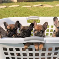 processed/ed3f2498-683d-4b59-aeab-882db07af504/facility/f5b1c488-5d07-4e9a-8300-82aa0b93007e