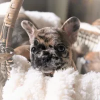 processed/ed3f2498-683d-4b59-aeab-882db07af504/facility/f79bc8b4-6c39-45d5-adb9-9b4da8adcbc6