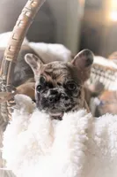 processed/ed3f2498-683d-4b59-aeab-882db07af504/facility/f79bc8b4-6c39-45d5-adb9-9b4da8adcbc6