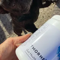 Kenji, a male French Bulldog for sale in Sacramento, CA – Photo 2 of 9