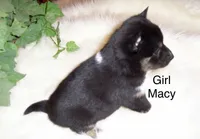 processed/ed51c7ac-0e50-4962-b8db-88f54b9f9f08/listing/1500a027-f097-420a-8e1a-c1390c929b7c/4c073be0-1722-4331-aab6-a7a4f99a4b15