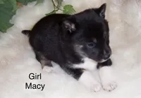 processed/ed51c7ac-0e50-4962-b8db-88f54b9f9f08/listing/1500a027-f097-420a-8e1a-c1390c929b7c/868c06fa-33d0-4866-9eff-dcd187a8a518