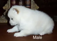 processed/ed51c7ac-0e50-4962-b8db-88f54b9f9f08/listing/641fbc9b-2bc5-4901-96a6-61d2e288487b/5fe9032f-da28-4c77-8348-87473d011538