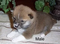 processed/ed51c7ac-0e50-4962-b8db-88f54b9f9f08/listing/89a9f567-752a-4103-a06a-732cad2a577d/6acd3e39-7c36-4453-9364-5ae3de261e98