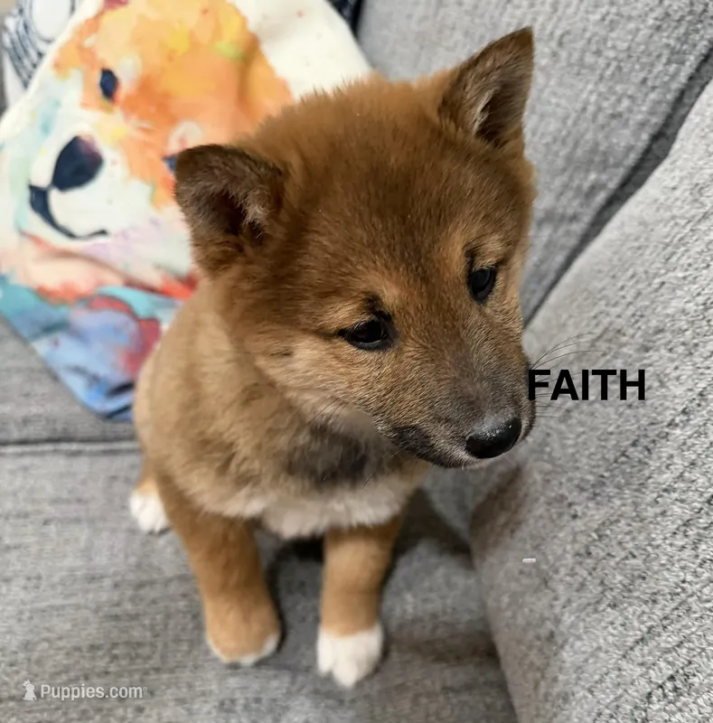 Faith