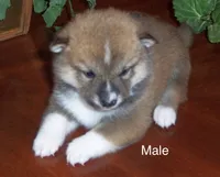 processed/ed51c7ac-0e50-4962-b8db-88f54b9f9f08/listing/a6c4175d-2837-4c17-8c05-acfe8ce17387/69b0c079-bea9-4969-a1bc-9c17cfa4f344