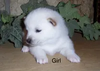 processed/ed51c7ac-0e50-4962-b8db-88f54b9f9f08/listing/a8e04ffc-364b-40f1-bd73-d4084a55a181/0e428091-6048-4127-8bf3-b11c56361af9