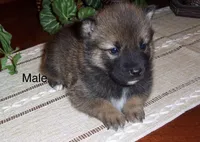 processed/ed51c7ac-0e50-4962-b8db-88f54b9f9f08/listing/c5c377d9-30c7-4399-9eee-67c6877a288c/4b619c5f-62e4-4097-89a7-2c78099f0ad3