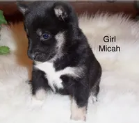 processed/ed51c7ac-0e50-4962-b8db-88f54b9f9f08/listing/d29102c9-a7dc-429b-8b11-1d08345691ec/a7ad5b12-e9a5-4ba6-8880-6b395909039c