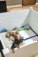 processed/ed561737-5327-47c7-ab59-8d0b22bc9678/facility/080fd720-52ca-43da-a80a-702f9b805f22