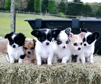 processed/ed561737-5327-47c7-ab59-8d0b22bc9678/facility/2b107d37-aec6-47f3-a0de-d8b7004ae26a