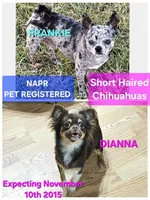 processed/ed561737-5327-47c7-ab59-8d0b22bc9678/facility/c66dfa07-fd86-4895-ab43-d4271d2c805f