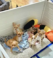 processed/ed561737-5327-47c7-ab59-8d0b22bc9678/facility/df98fd62-5018-4d2f-bd4a-dc331fa9a649