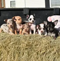 processed/ed561737-5327-47c7-ab59-8d0b22bc9678/facility/e1bdc0e8-cf52-41ec-8291-40e133e5141d