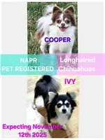 processed/ed561737-5327-47c7-ab59-8d0b22bc9678/facility/ef2c1d52-2048-4476-9705-1c09b6084f69