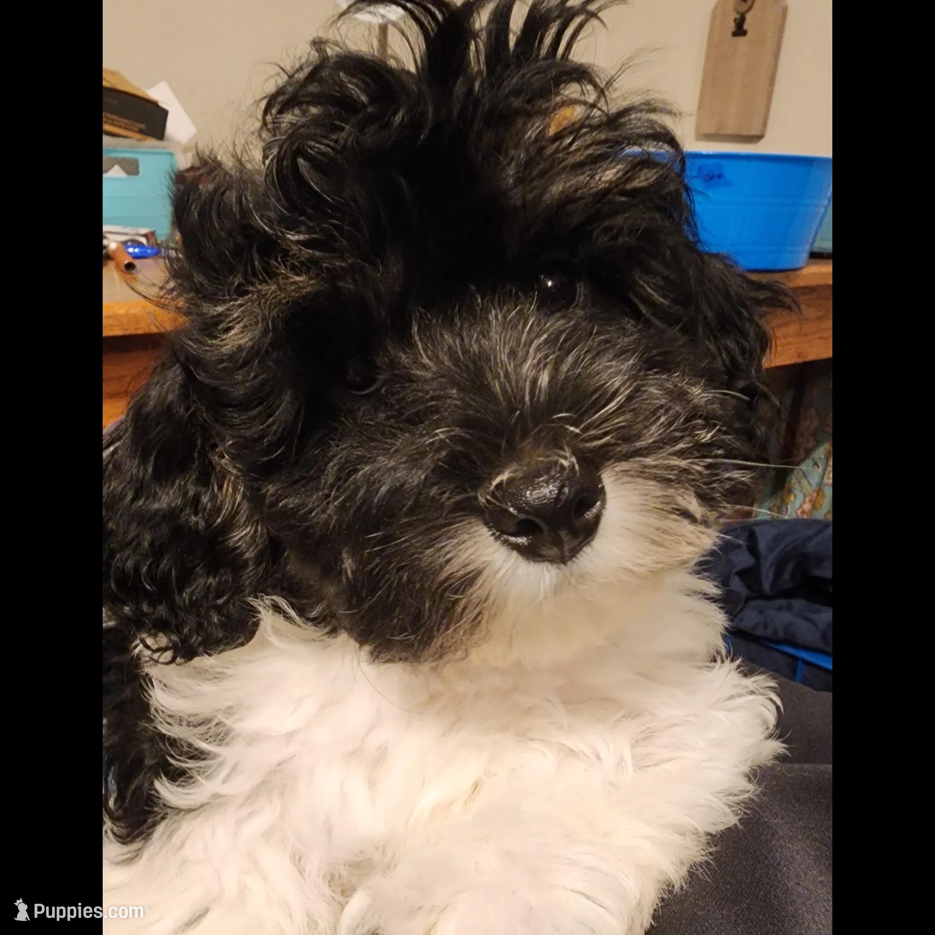 processed/ed59404a-d803-411d-8624-d2d6fb6bbc74/listing/31fc5153-b99c-4c5a-8735-efa9d4d3f6d1/14471775-83c8-4cec-b113-3a8dcb298189