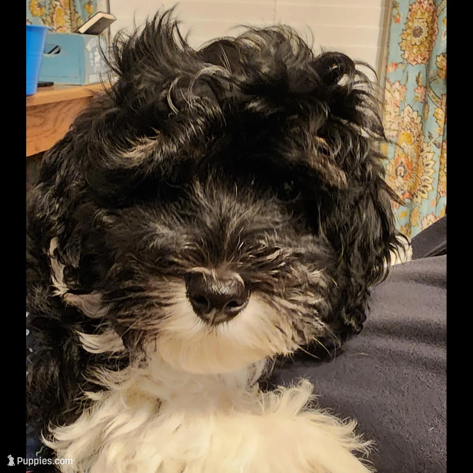 processed/ed59404a-d803-411d-8624-d2d6fb6bbc74/listing/31fc5153-b99c-4c5a-8735-efa9d4d3f6d1/75ccf03b-48f4-4339-8dc7-f261ef7eceef