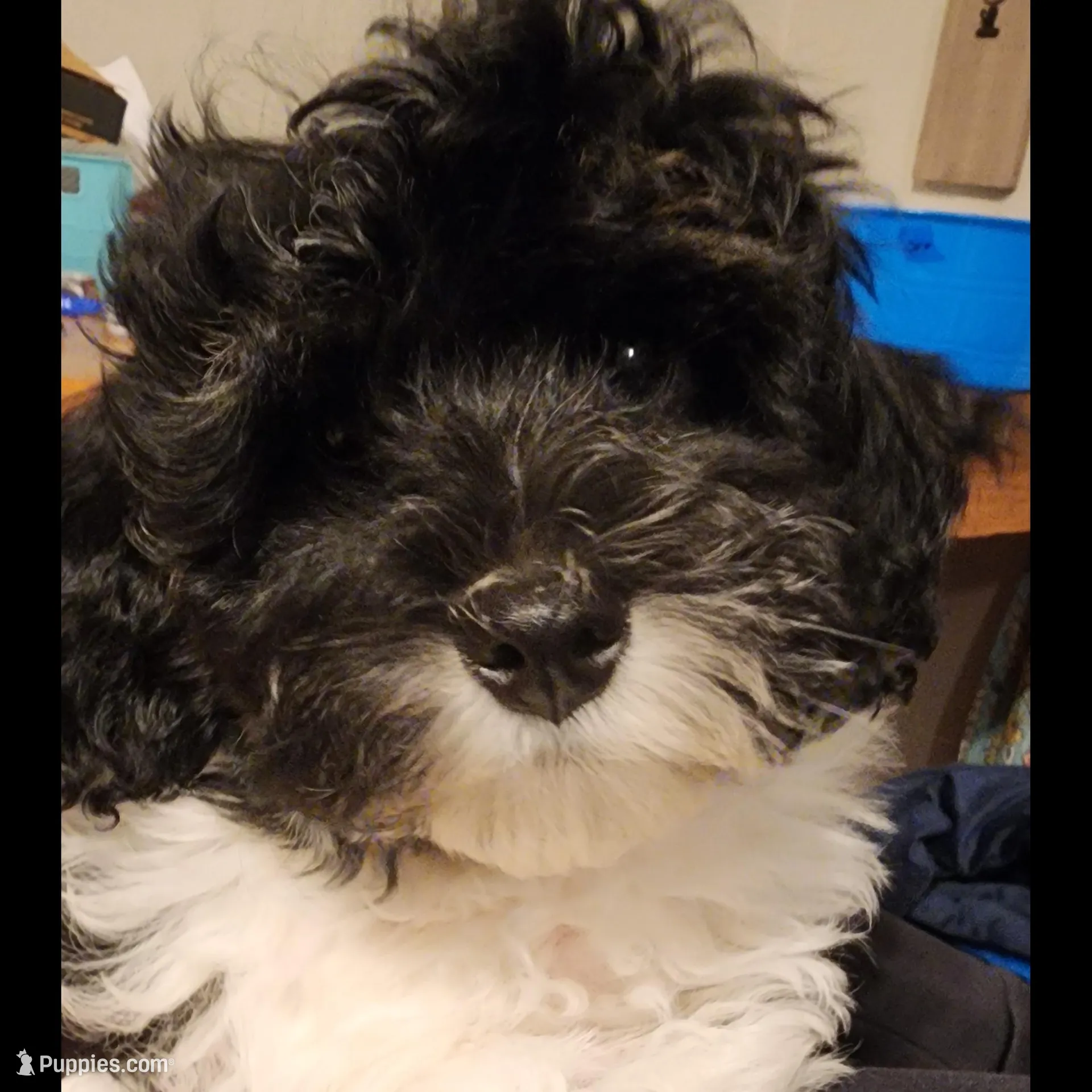 processed/ed59404a-d803-411d-8624-d2d6fb6bbc74/listing/31fc5153-b99c-4c5a-8735-efa9d4d3f6d1/7b03cb26-1e2c-43f5-8d78-63c6429bf384