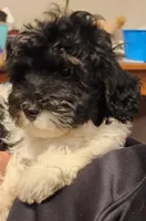 processed/ed59404a-d803-411d-8624-d2d6fb6bbc74/listing/31fc5153-b99c-4c5a-8735-efa9d4d3f6d1/7e9a355b-113c-4b33-84d4-72ea07f0edcf