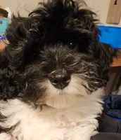 processed/ed59404a-d803-411d-8624-d2d6fb6bbc74/listing/31fc5153-b99c-4c5a-8735-efa9d4d3f6d1/92bc54c1-54ff-458e-ac23-f7d106a95a2c