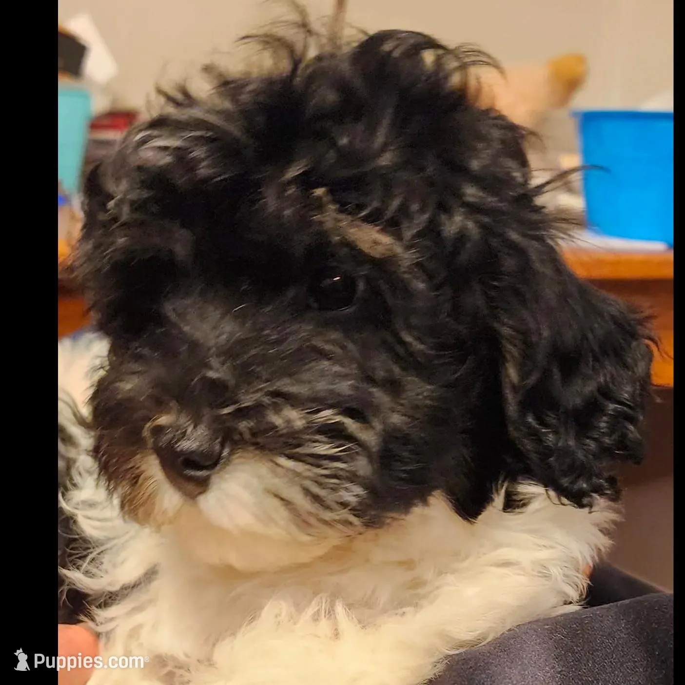 processed/ed59404a-d803-411d-8624-d2d6fb6bbc74/listing/31fc5153-b99c-4c5a-8735-efa9d4d3f6d1/cd316a0a-d39f-4396-a5b7-5f5f0a821cd1