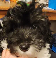 processed/ed59404a-d803-411d-8624-d2d6fb6bbc74/listing/31fc5153-b99c-4c5a-8735-efa9d4d3f6d1/f8c74f79-237a-4f6c-bf19-5095d100b79c