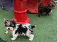 processed/ed597c3f-edf4-451c-8ea9-103a7e036a64/listing/16c0eebd-538b-4d2c-b84f-a60583a18add/4829d05f-06ee-4c71-9606-82faddd76d7d