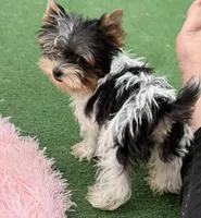 processed/ed597c3f-edf4-451c-8ea9-103a7e036a64/listing/16c0eebd-538b-4d2c-b84f-a60583a18add/7e9190ed-0816-4ba6-9b2d-ea0f93c35039