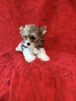 processed/ed597c3f-edf4-451c-8ea9-103a7e036a64/listing/269a4b8e-2d8c-41ba-94ee-fbc30d032071/d937a8dc-5fa7-4199-806f-ded2699fd121