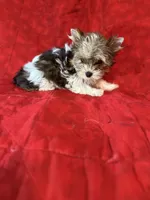 processed/ed597c3f-edf4-451c-8ea9-103a7e036a64/listing/269a4b8e-2d8c-41ba-94ee-fbc30d032071/e7c03a21-ff19-4e5d-b17c-96d5c1e2b8c5