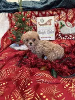 processed/ed597c3f-edf4-451c-8ea9-103a7e036a64/listing/53cdc6f4-3d67-4e2b-86c3-14d7ad5dc4d0/78e9c208-ec89-45e4-97c6-1a8a2dccc346