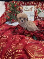 processed/ed597c3f-edf4-451c-8ea9-103a7e036a64/listing/53cdc6f4-3d67-4e2b-86c3-14d7ad5dc4d0/f35ac83f-51ce-4cbe-94ff-29afb7d7303c