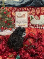 processed/ed597c3f-edf4-451c-8ea9-103a7e036a64/listing/5ee79faa-c942-473f-b06c-98cc823a7fbb/0da1937a-9cdd-48e4-9262-91ed0a1b3e89