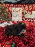 processed/ed597c3f-edf4-451c-8ea9-103a7e036a64/listing/5ee79faa-c942-473f-b06c-98cc823a7fbb/7f9a1e32-0954-47ac-a452-f5760fb0c731