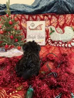 processed/ed597c3f-edf4-451c-8ea9-103a7e036a64/listing/5ee79faa-c942-473f-b06c-98cc823a7fbb/85be914a-f6cc-4de4-9ff6-2eea926d9954