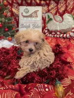 processed/ed597c3f-edf4-451c-8ea9-103a7e036a64/listing/f14c4d4f-478f-4989-ab00-89385f7c55a3/461ca49b-4b0b-447a-a5a7-d09df9cb4495