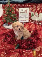 processed/ed597c3f-edf4-451c-8ea9-103a7e036a64/listing/f14c4d4f-478f-4989-ab00-89385f7c55a3/a36443f5-4c6b-4ade-ba29-fc7350f66230