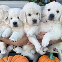 processed/ed61b68f-27c8-4987-97ab-c759092abcac/facility/2d9a6aac-29b7-46f9-9471-89c9c627c457