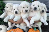 processed/ed61b68f-27c8-4987-97ab-c759092abcac/facility/2d9a6aac-29b7-46f9-9471-89c9c627c457