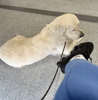 processed/ed61b68f-27c8-4987-97ab-c759092abcac/listing/0a1affa3-4933-4df5-b755-cc122b0c6fb1/98f90af7-5f86-42a2-8049-dc16063bd6db