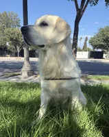 processed/ed61b68f-27c8-4987-97ab-c759092abcac/listing/0a1affa3-4933-4df5-b755-cc122b0c6fb1/9acf78b2-b5b3-4b5b-a5e5-124e52029c03